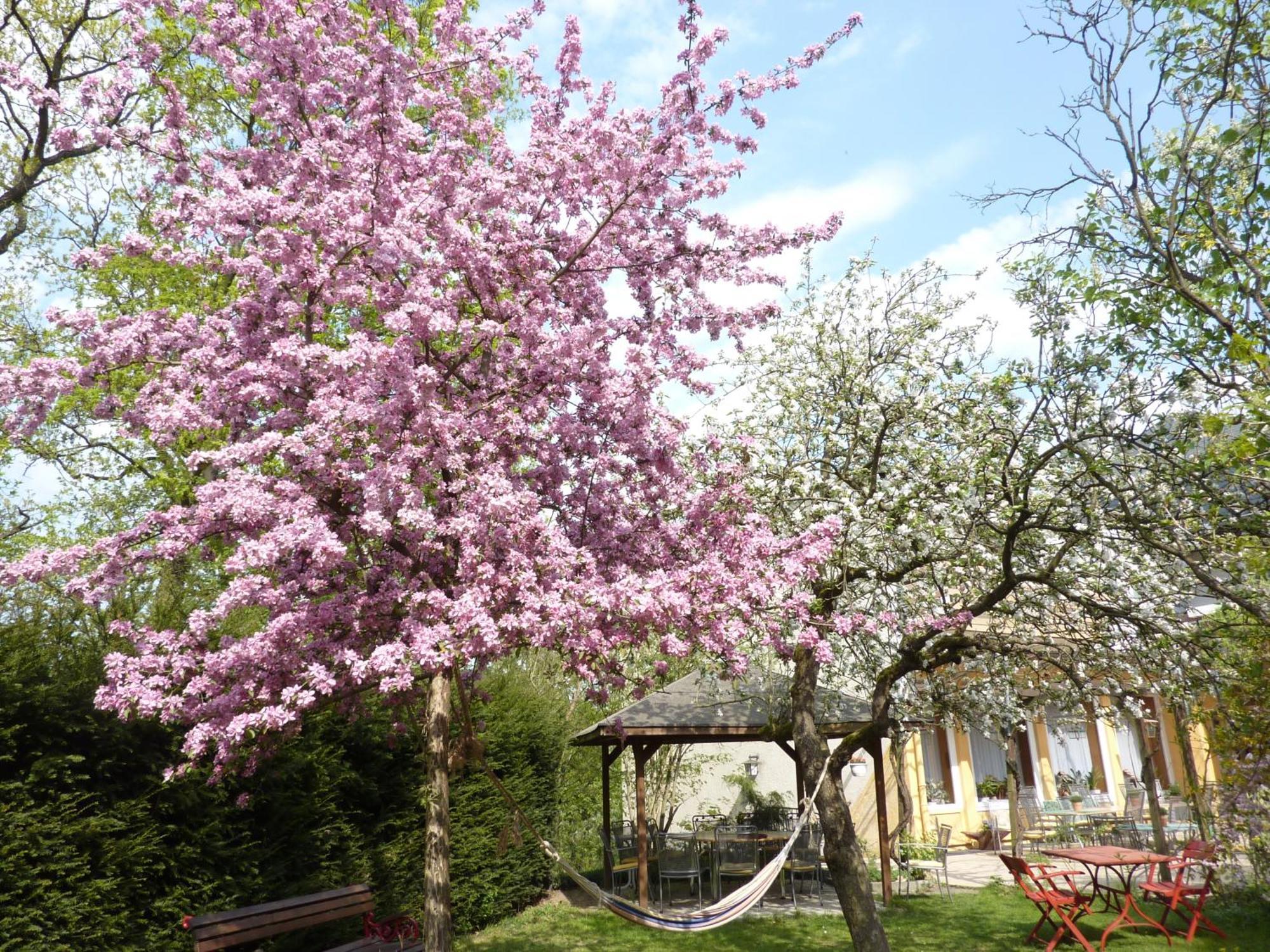 Hotel Oranien Nastätten Exteriör bild